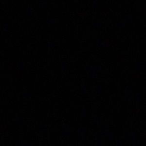 Meet your Posher, Chandler